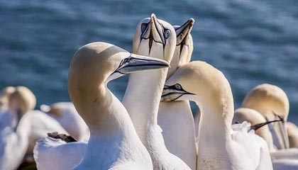 桐乡2026年最新北京商务伴游经纪招聘渠道分享(最方便真实的桐乡北京爱特博旅运服务有限责任公司招聘方法)