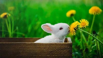 桐乡2026年最新北京商务伴游经纪招聘渠道分享(最方便真实的桐乡北京爱特博旅运服务有限责任公司招聘方法)